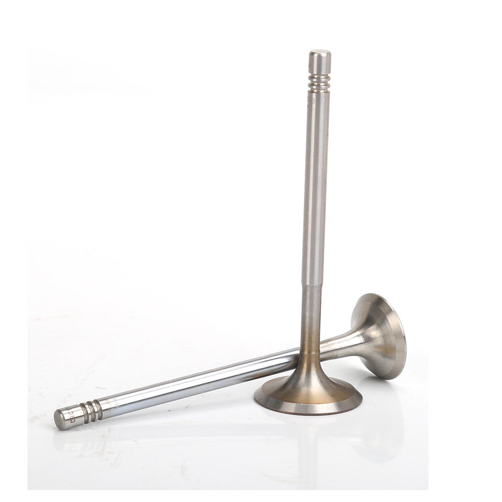 16pcs Intake valves Exhaust valves For Beetle Golf Touran Passat A1 A2 A3 1.4L 1.6L 02-14