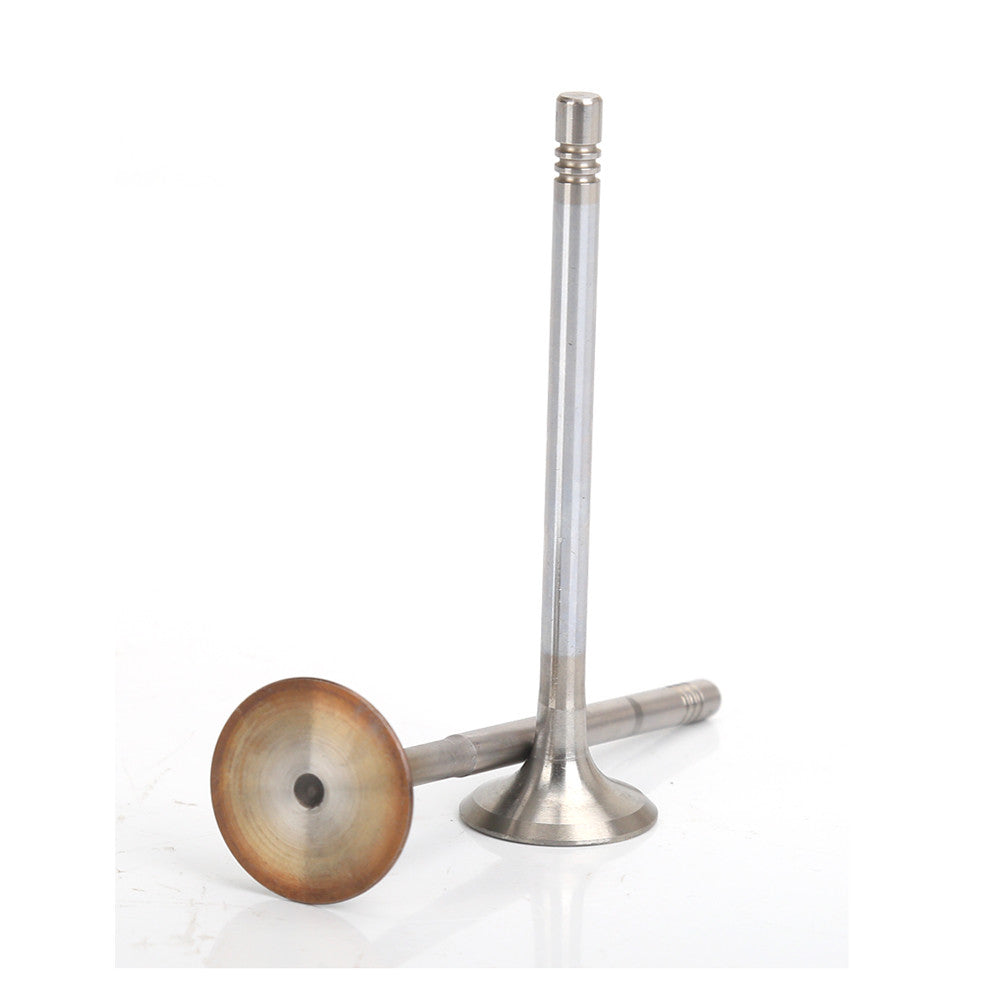 16pcs Intake valves Exhaust valves For Beetle Golf Touran Passat A1 A2 A3 1.4L 1.6L 02-14