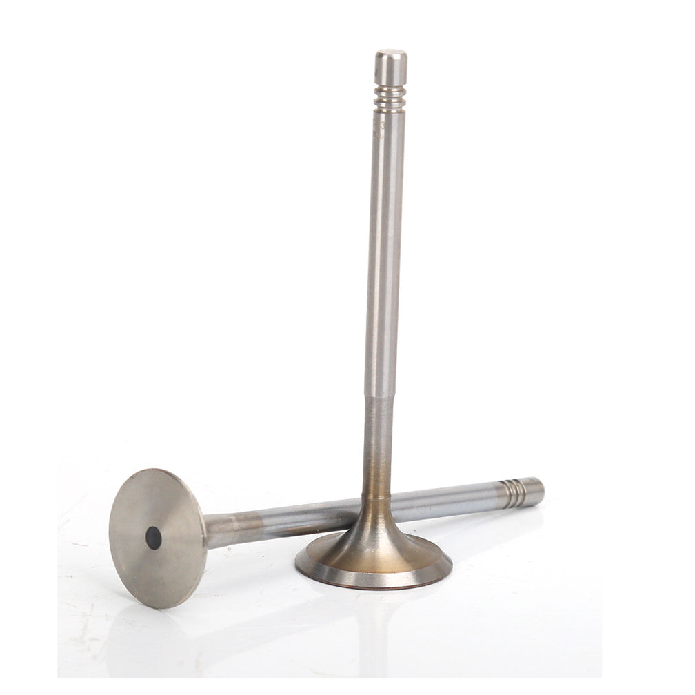 16pcs Intake valves Exhaust valves For Beetle Golf Touran Passat A1 A2 A3 1.4L 1.6L 02-14