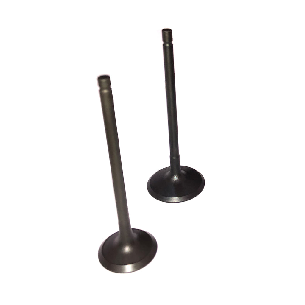 Intake Exhaust Valves Fit For Range Rover Discovery XK XF XJ 5.0L 508PN 06-15