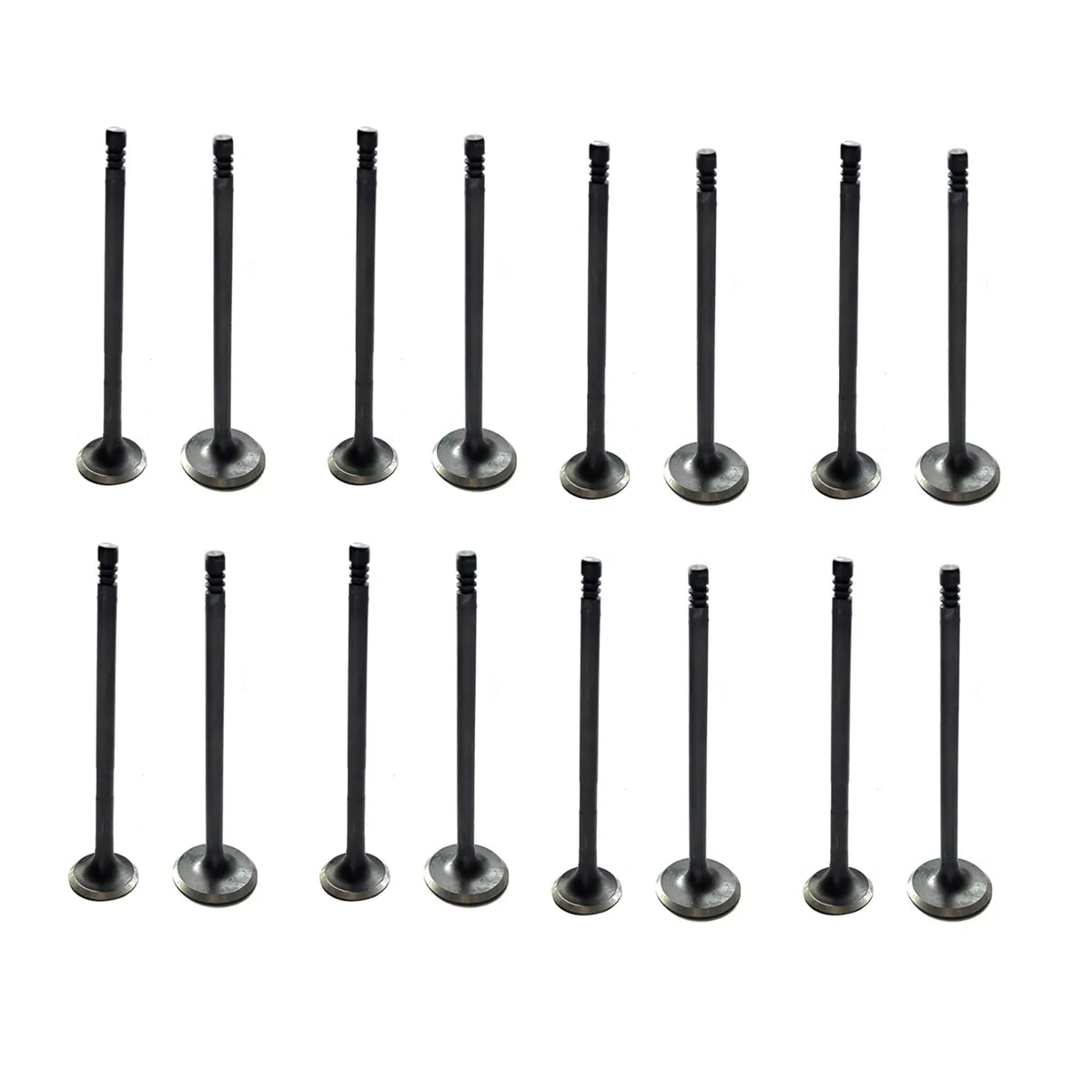 16pcs Intake Exhaust Valves For Westfield Seven 1.6L 05-09
