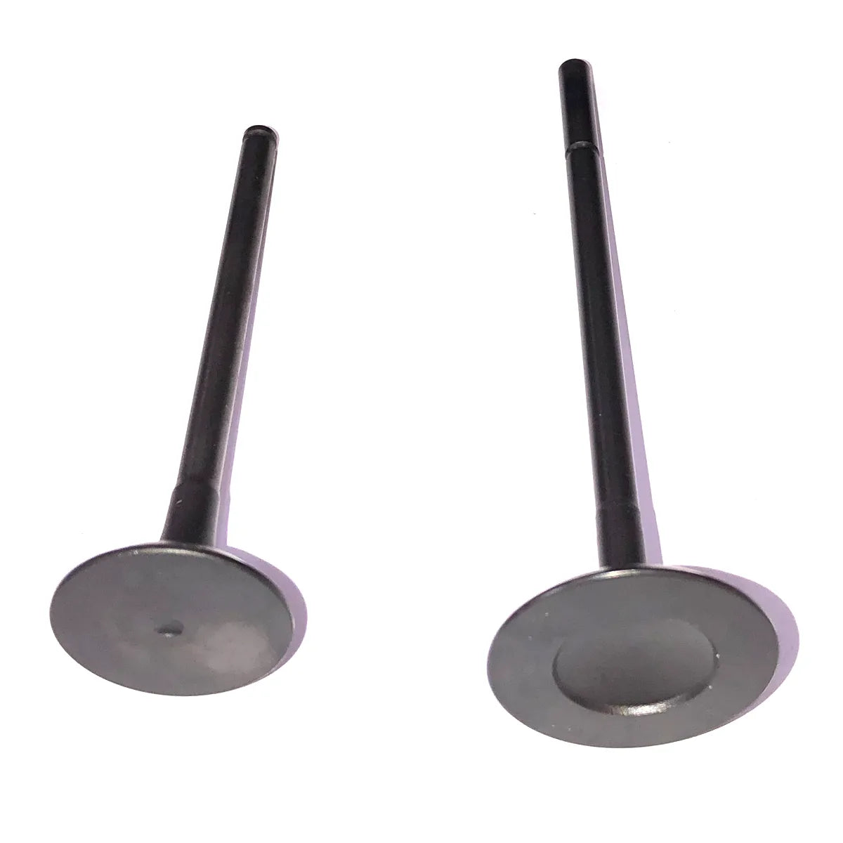 24X Intake Exhaust Valves Fit For LR4 Range Rover 3.0T 306PS AJ126 2013-2019