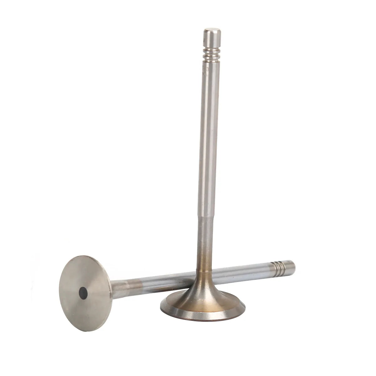 16X Intake valves Exhaust valves For Beetle Golf Touran Passat A1 A2 A3 1.4L 1.6L 2002-2014