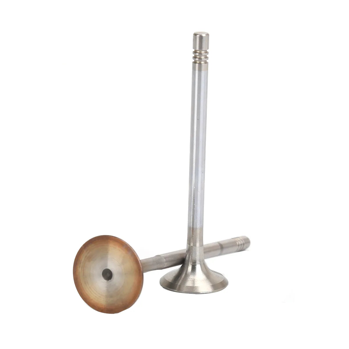 16X Intake valves Exhaust valves For Beetle Golf Touran Passat A1 A2 A3 1.4L 1.6L 2002-2014