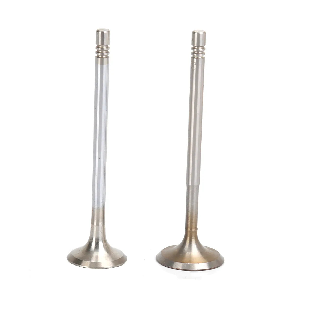 16X Intake valves Exhaust valves For Beetle Golf Touran Passat A1 A2 A3 1.4L 1.6L 2002-2014