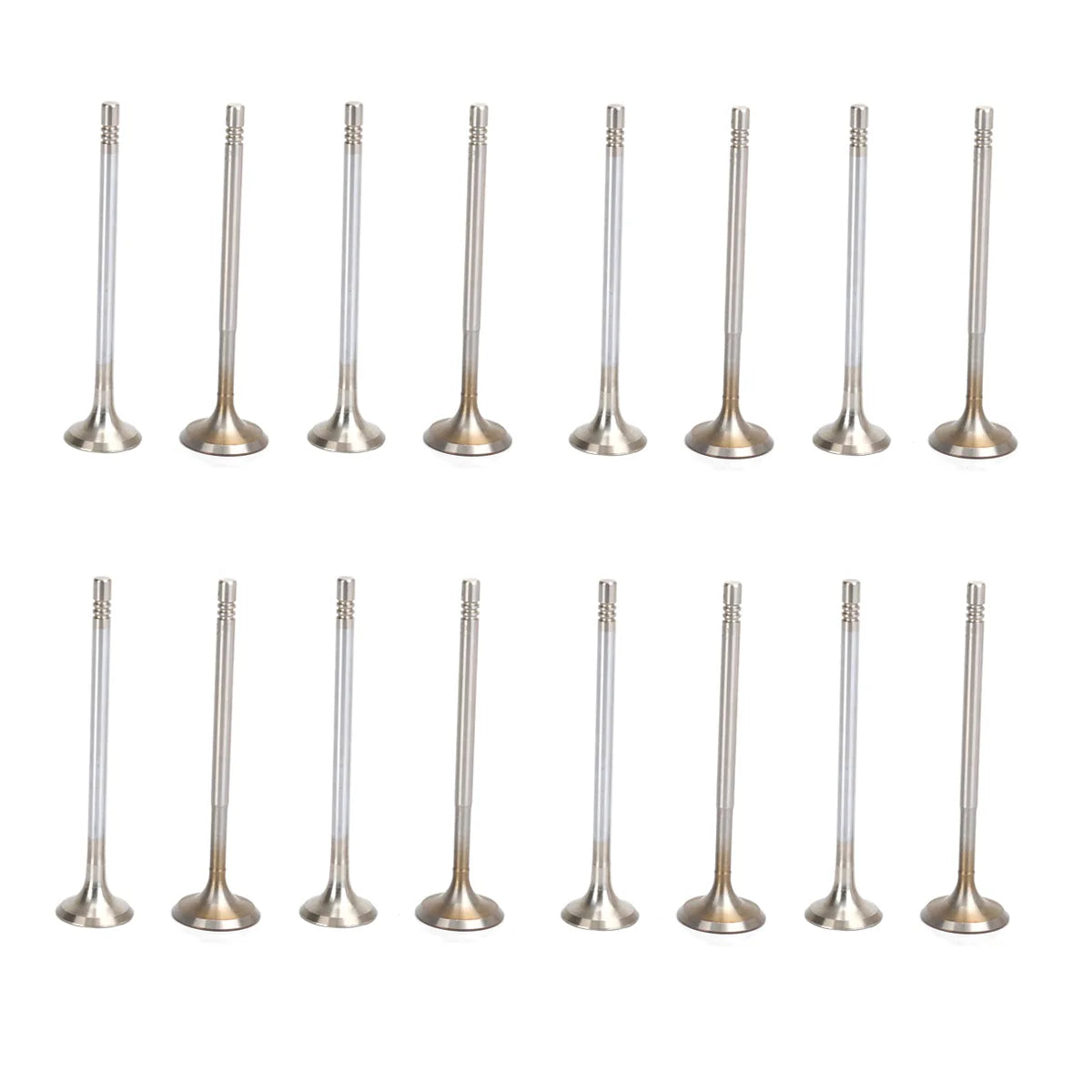 16X Intake valves Exhaust valves For Beetle Golf Touran Passat A1 A2 A3 1.4L 1.6L 2002-2014